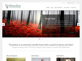 Elegant Themes Chameleon