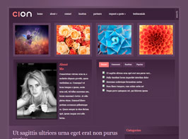 Elegant Themes Cion