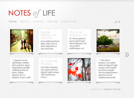 Elegant Themes DailyNotes