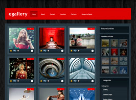 Elegant Themes eGallery