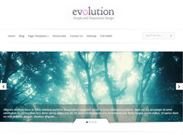 Elegant Themes Evolution