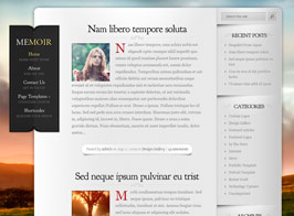 Elegant Themes Memoir