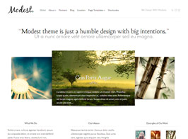 Elegant Themes Modest