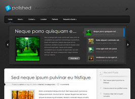 Elegant Themes Polished