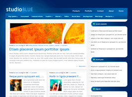 Elegant Themes StudioBlue