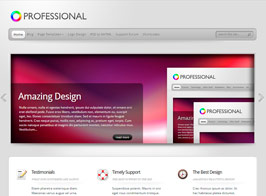 Elegant Themes TheProfessional