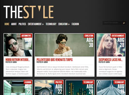 Elegant Themes TheStyle