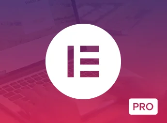 Elementor Pro – WordPress Page Builder