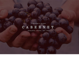 Elementorism Cabernet – Landing Page For Wineries