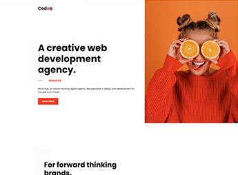 Elementorism Codea – Portfolio Elementor Kit