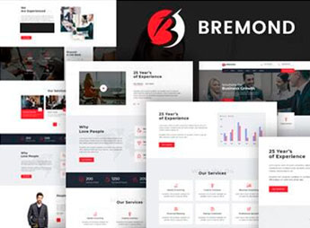 Bremond – Multipurpose Business Consulting WordPress Theme