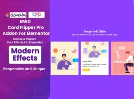BWD Card Flipper Pro Addon For Elementor