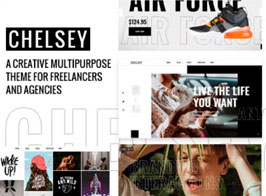 Chelsey – Portfolio Theme for Freelancers and Agencies
