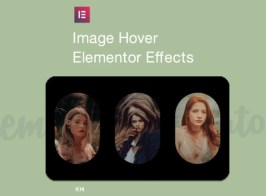 Image Hover Elements for Elementor
