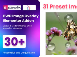 BWD Image Overlay Addon For Elementor