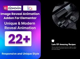 BWD Image Reveal Animation Addon For Elementor