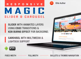 Magic Responsive Slider and Carousel WordPress Plugin