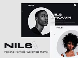 Nils – Personal Portfolio WordPress Theme
