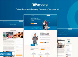 Payberg – Online Payment Gateway Elementor Template Kit