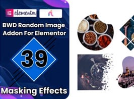 Random Image Addon For Elementor