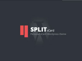 Split – WordPress CV/Vcard Template