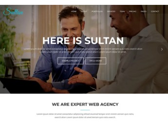 Sultan – One Page Business WordPress Theme