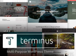 Terminus – Responsive Multi-Purpose WordPress Theme