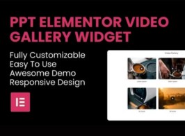 PPT – Video Gallery Elementor Widget
