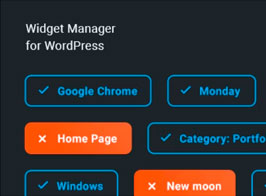 Widget Manager – WordPress widgets management system
