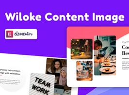 Wiloke Content Image Widget for Elementor