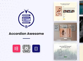 WordPress Accordion Plugin – Accordion Awesome Pro