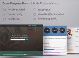 Zoom Progress Bars – WordPress Plugin