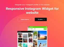 Elfsight Instagram Widget