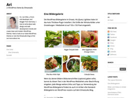 Elmastudio Ari – Minimalist Blog