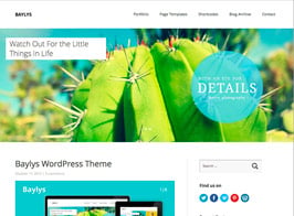 Elmastudio Baylys – Blog Portfolio