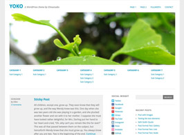 Elmastudio Yoko – Blog