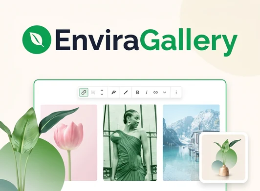 Envira Galery Envira Gallery Pro