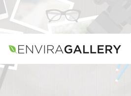 Envira Gallery Tags Addon