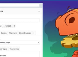 Extended Widget Options