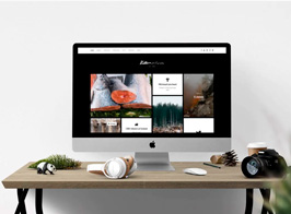 Killeen – Portfolio Showcase Drupal Theme