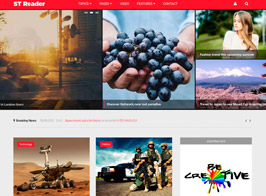 Reader – News & Magazine Drupal Theme