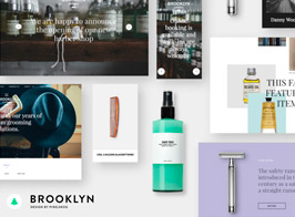 Brooklyn – Clean And Modern Muse Onepager Multipager Design