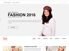Crazy – Fashion Shopify Responsive Theme