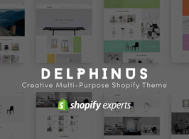 Delphinus | Creative Multi-Purpose Shopify Theme