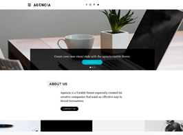 Agencia Tumblr Theme