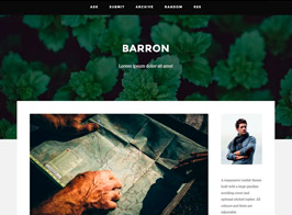 Barron – Content Focus Tumblr Theme