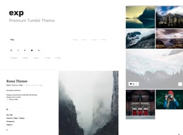Exp – Minimalist Portfolio Tumblr Theme