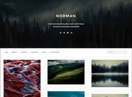 Norman – Responsive Grid Tumblr Theme