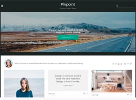 Pinpoint Tumblr Theme