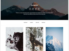 Premier – A Responsive Tumblr Theme